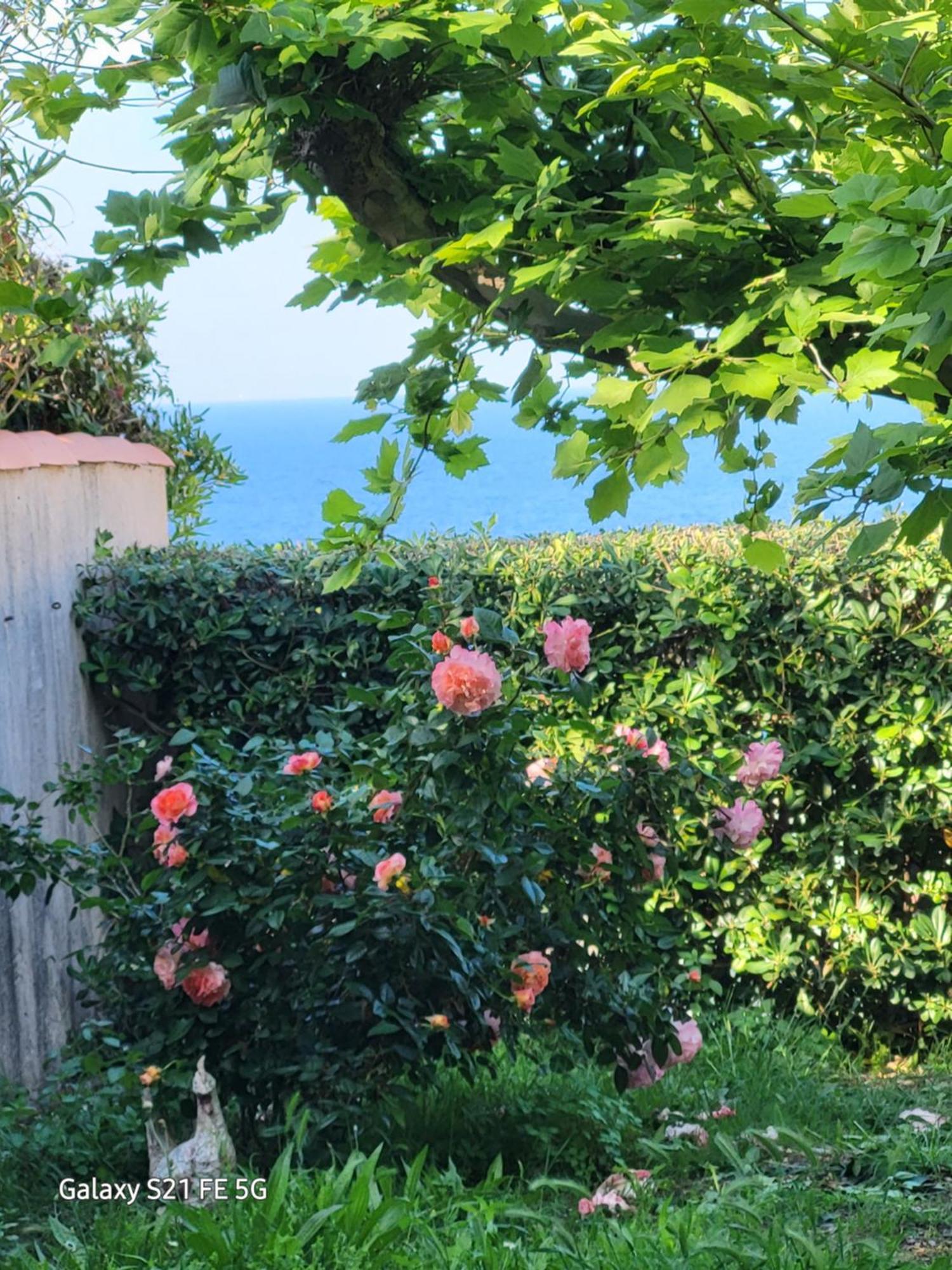 Chez Isabelle Bed & Breakfast Luri Exterior foto